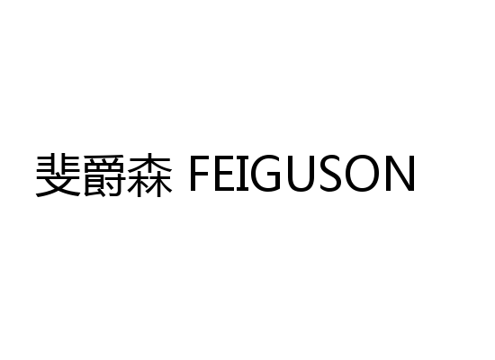 斐爵森 FEIGUSON